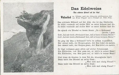 Das Edelweiss: Walzerlied ngl 110.599