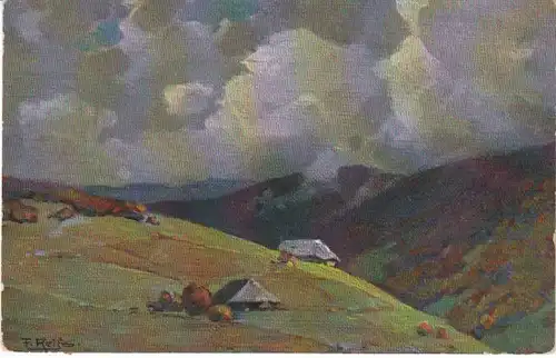 FRITZ REISS Herbst im Schwarzwald ngl 21.867