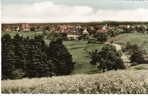 Neusatz bei Herrenberg Schwarzwald gl1961 C1436