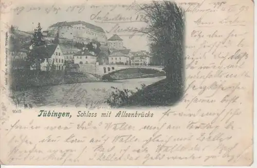 Tübingen Schloss mit Alleenbrücke gl1899 83.372