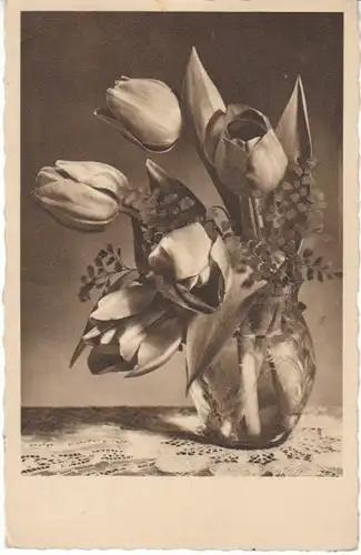 Blumen-Karte Tulpen gl1938 22.599