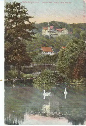 Ilsenburg i.Harz Partie m.Hotel Waldhöhe gl1909 21.469