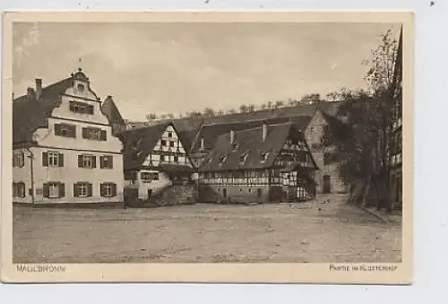 Maulbronn Partie im Klosterhof gl1924 51.514