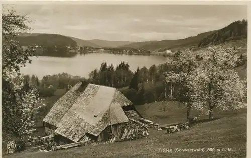Titisee Teilansicht ngl 108.955