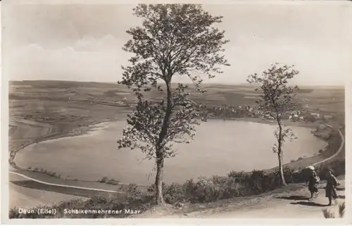 Daun Eifel Schelkenmehrer Maar gl1932 22.239