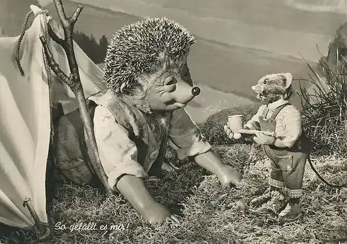 Mecki 35: So gefällt es mir! gl1959 110.667