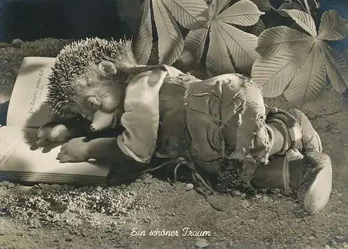 Mecki 5: Ein schöner Traum ngl 110.722