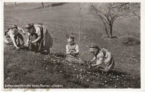 Schwarzwaldkinder beim Blumenpflücken ngl 22.322