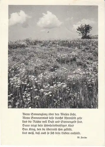 Wenn Sonnenglanz über den Wiesen steht gl1953 28.180