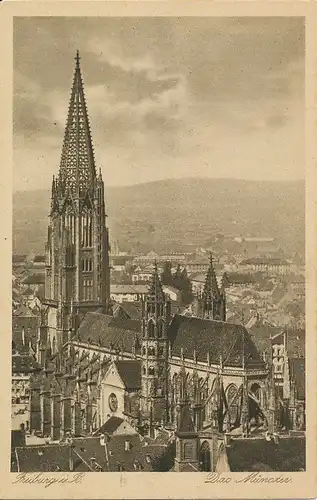 Freiburg Das Münster ngl 134.373