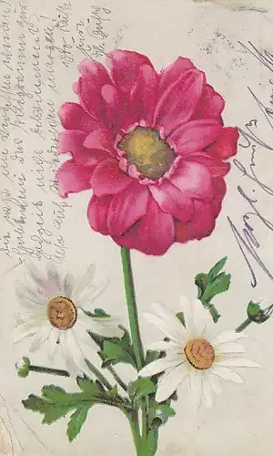 Ein Blumengruß gl1925 B9483