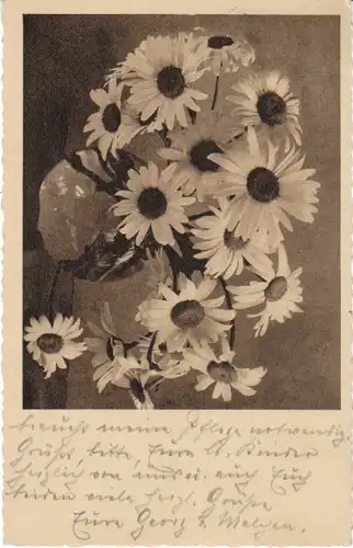 Blumen-Karte Margeriten gl1938 22.600