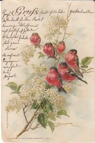 Gruß mit 6 Rotkehlchen gl1899 23.607