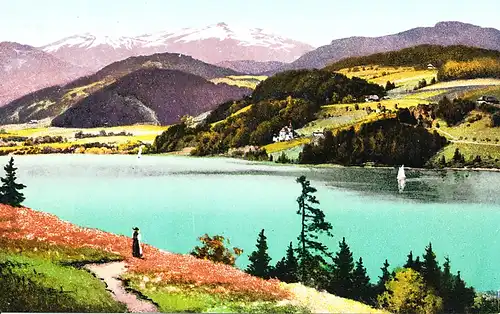 Titisee mit Blick auf Feldberg ngl 109.980