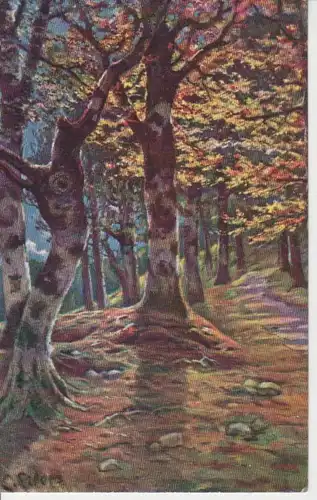 Waldlandschaft gl1908 69.123