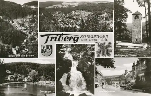 Triberg Teilansichten Bergsee ngl 107.878