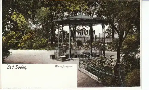 Bad Soden Wiesenbrunnen um 1900 ngl 22.731