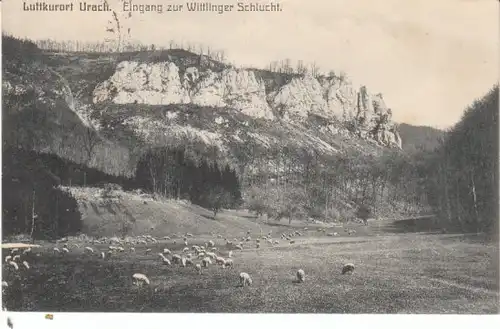 Urach Eingang zur Wittlinger Schlucht gl1908 24.317