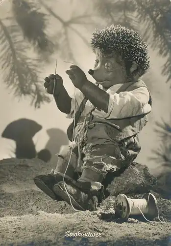 Mecki 6: Strohwitwer ngl 110.693