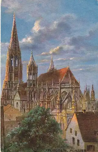 Freiburg i.B. Münster ngl 108.883