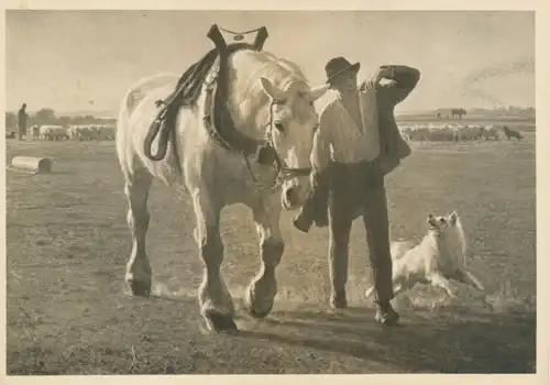 HDK 611 J.P. Junghanns - Feierabend ngl 109.501