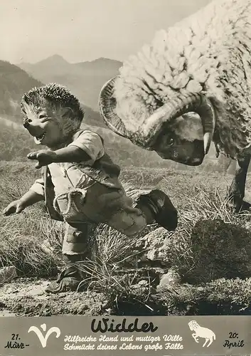 Mecki 504: Sternzeichen Widder ngl 110.735