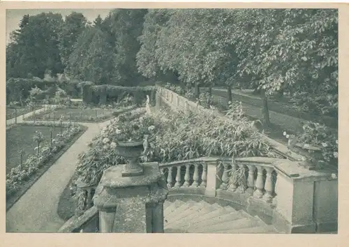 Insel Mainau Rosengarten ngl 108.511