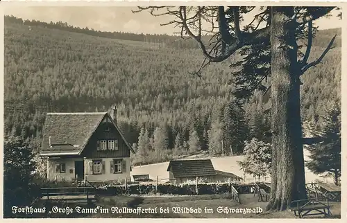 Forsthaus 'Große Tanne' bei Bad Wildbad ngl 133.530
