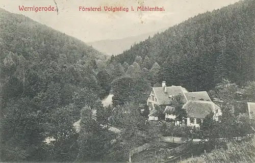 Wernigerode Försterei Mühlenthal gl1908 114.843