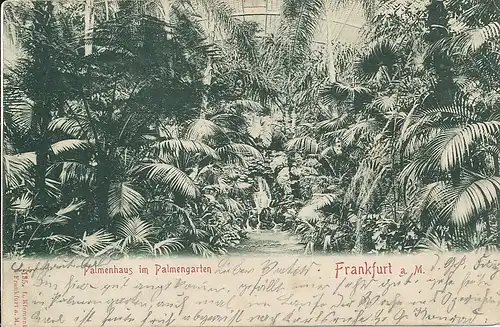 Frankfurt a.M. Palmenhaus Innenansicht gl1900 131.969