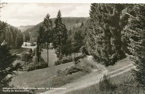 Pfalzgrafenweiler Partie im Waldachtal gl1966 107.843