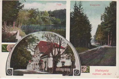 Hainspitz Gasthaus "Am See" Teich Wald gl1921 90.016