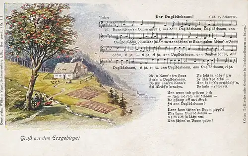 Erzgebirge: Dar Duglbärbaam ngl 110.603