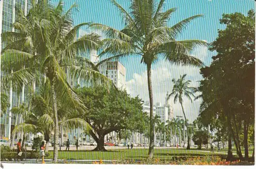 USA Miami FLA. Biscayne Blvd. ngl 25.428