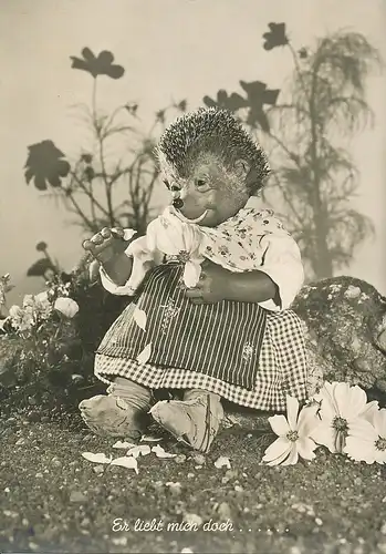 Mecki 9: Er liebt mich doch… ngl 110.692