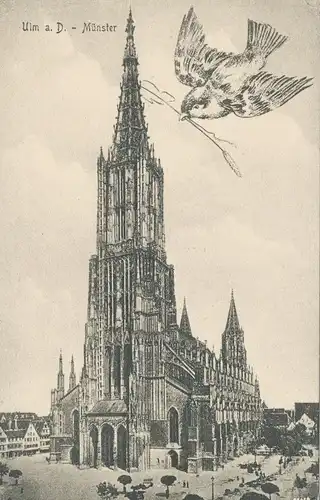 Ulm a. Donau Münster ngl 107.919