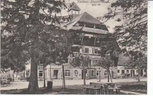 Schwarzwald Kurhaus Kniebis-Lamm gl1913 24.248