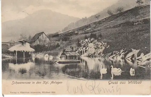 Gruss aus Wildbad Kgl.Anlagen Schwanensee gl1906 24.140