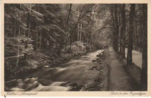 Wildbad Schwarzwald In den Enzanlagen gl1928 24.345