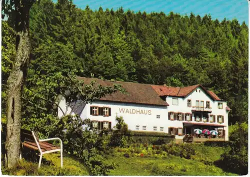 Schopfheim-Schweigmatt Pension Waldhaus gl1976 26.964