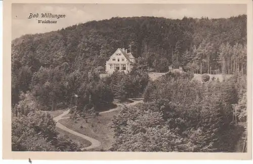 Bad Wildungen Das Waldhaus gl1917 24.462