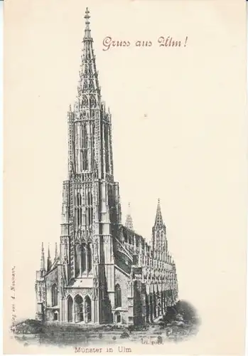 Ulm a.D. Münster um 1900 ngl 26.312