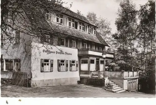 Dornstetten Gasthaus Pension Blume gl1956 26.084