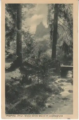 Tabarz Thür.Wald Im Lauchagrund gl1927 27.398