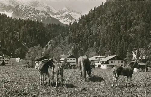 Gästehaus Alpengut Elmau bei Klais gl1958 119.970