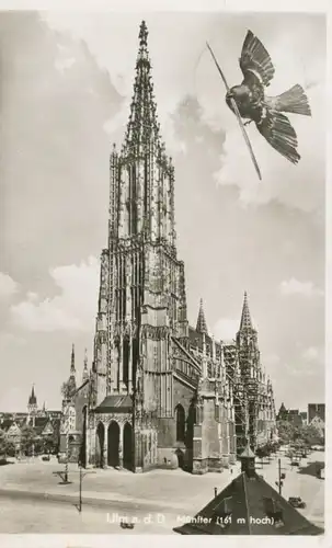 Ulm an der Donau Münster gl1953 107.915