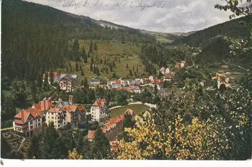 Triberg Schwarzwald alte Ansicht ngl 26.410