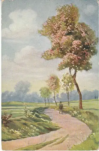 Blühende Bäume Wanderer gl1914 25.074