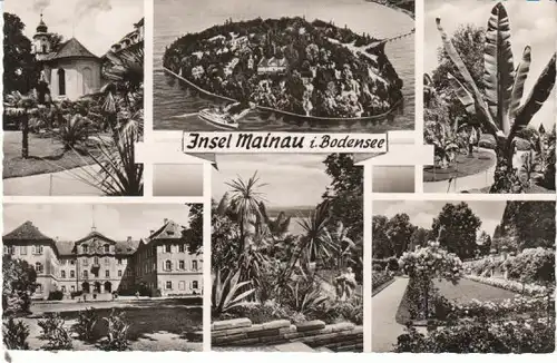 Insel Mainau i.Bodensee Mehrbildkarte ngl 26.852