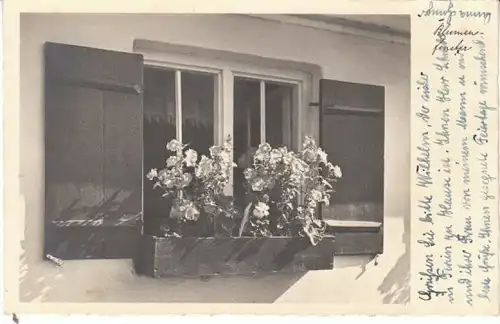 Blumen im Fenster gl1940 24.654